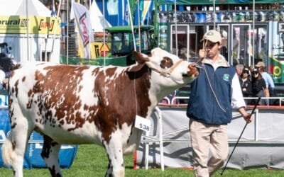 Bachillerato Agrario asegurará la continuidad educativa en la Facultad de Veterinaria.