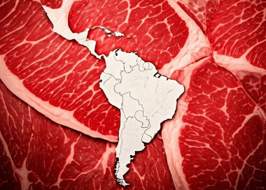 Marfrig confirma con una auditoria externa sus avances en bienestar animal.