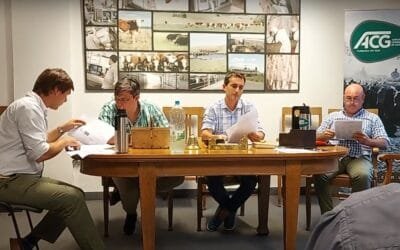 En la tercera semana el mercado ganadero se mostró “estable”.