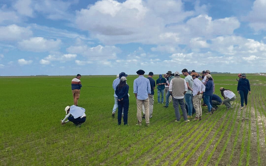 Curso ganadero 2025 con inscripciones abiertas