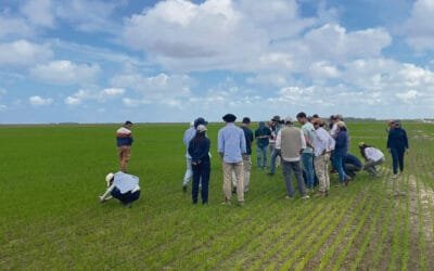 Curso ganadero 2025 con inscripciones abiertas