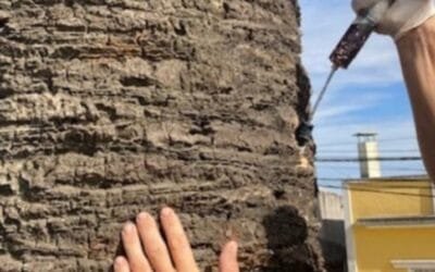 Picudo rojo. Intendencia maragata realiza tratamiento a palmeras.