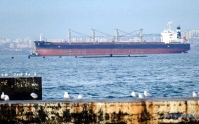 A pesar de la guerra, los puertos ucranianos baten récord en movimiento de mercadería.