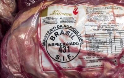 Brasil bate récord en producción de carne