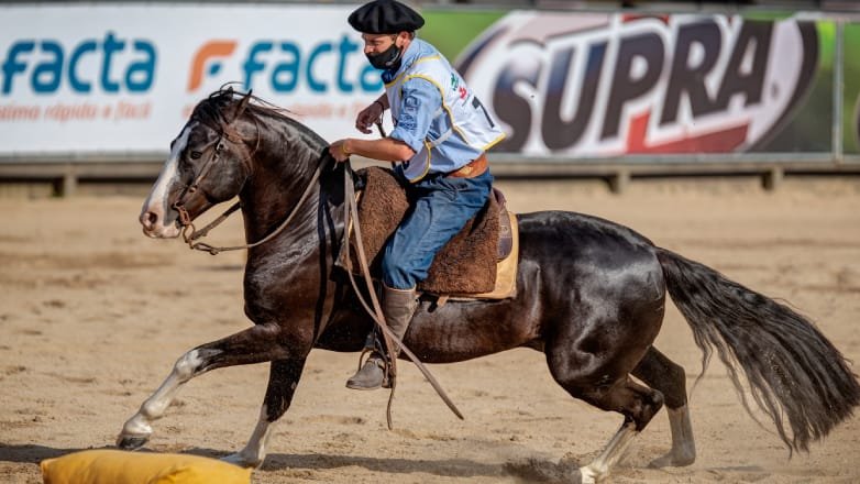 Los criollos tienen agenda para el primer semestre del  2025