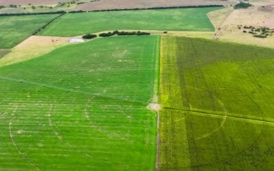 Finaliza plazo de inscripciones para Tecnólogo en Sistemas Integrados de Producción Agropecuaria.