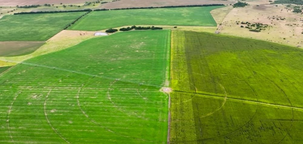 Finaliza plazo de inscripciones para Tecnólogo en Sistemas Integrados de Producción Agropecuaria.