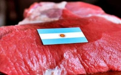 Las dificultades en la industria cárnica argentina
