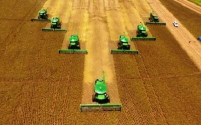 Brasil. La venta anticipada de soja en Mato Grosso es la más avanzada desde 2020.