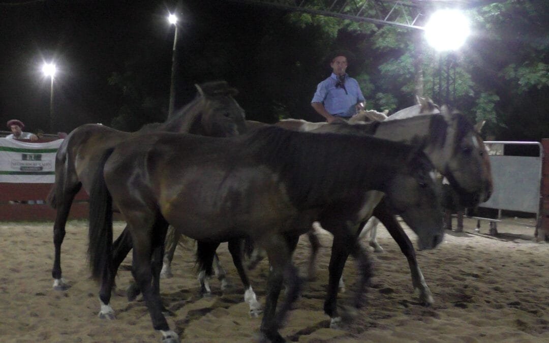 Voluminosa oferta de yeguarizos se dispersó en “Cañada Bellaca”