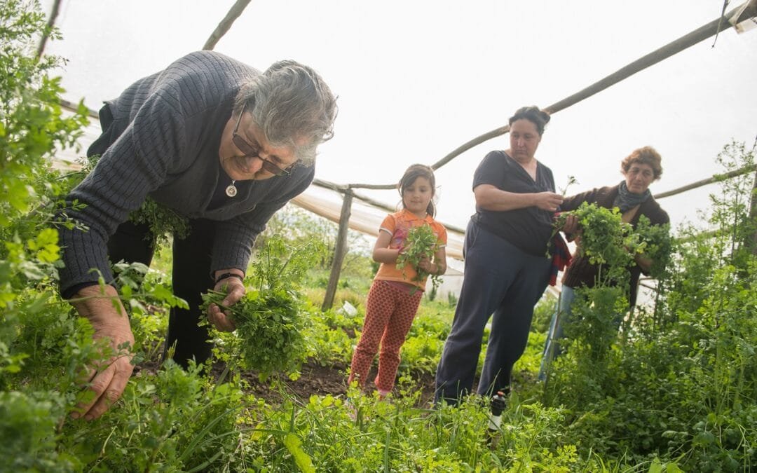 Guía sobre el registro y aportes de empresas del sector rural