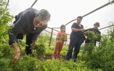 Guía sobre el registro y aportes de empresas del sector rural