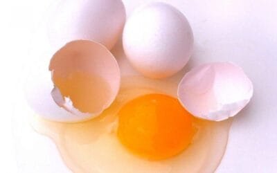 Profesionalizar y ser eficientes, una estrategia para las empresas avícolas.