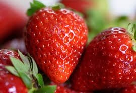 INIA presentó “Yatay”