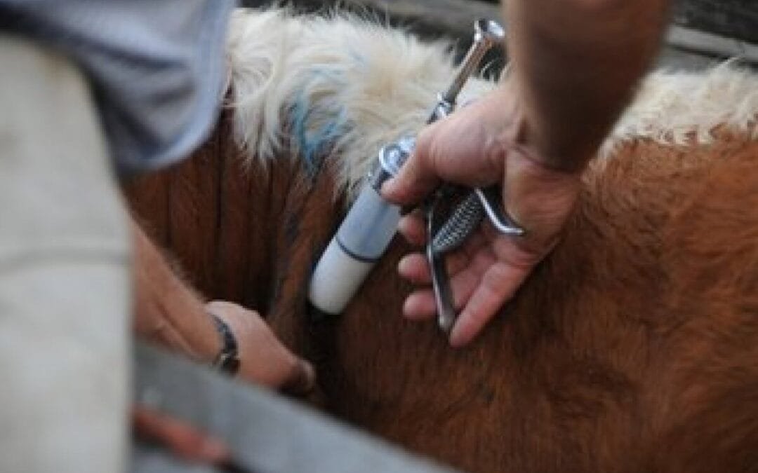 Preocupa ingreso de productos de contrabando