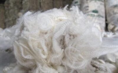 Mercado lanero en Australia retoma actividad