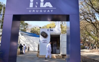 Aclaraciones de Apuinia