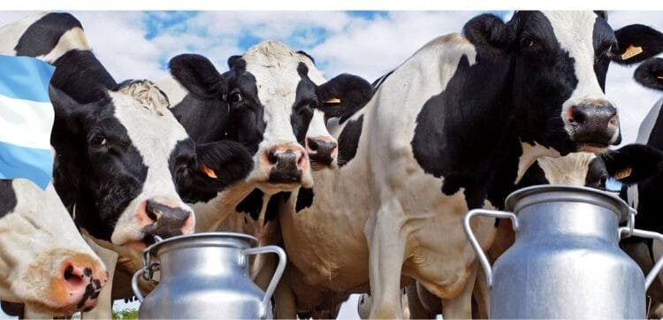 Cayo la producción de leche en argentina