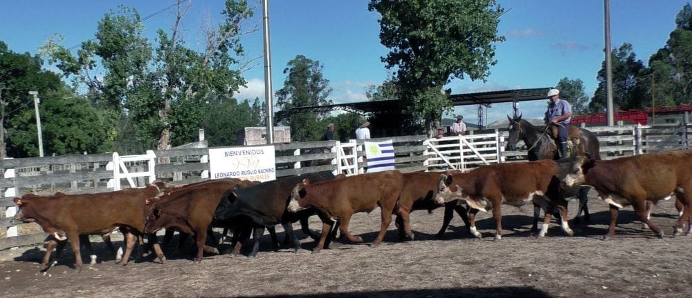 Con Leonardo Ruglio Bachino: muy buen arranque de año en el Campanero.