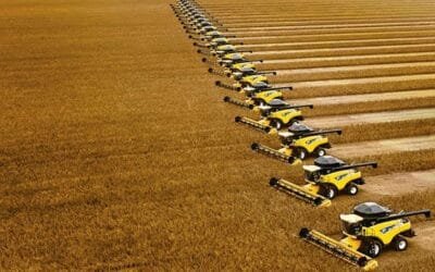 Creció la cosecha brasileña