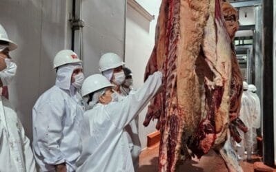 Máximos históricos para la carne paraguaya