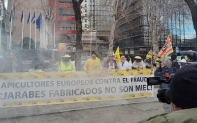Apicultores europeos cuestionan acuerdo de la UE con el Mercosur.