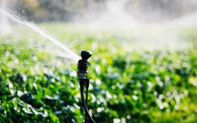 Jornadas de riego en Marzo