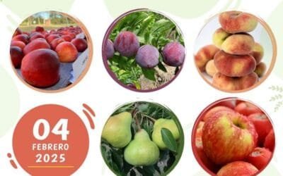 Jornada frutícola de INIA.