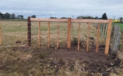 La vigencia de la carpintería rural: Hay gente que invierte mucho