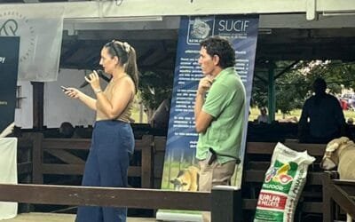 Charlas para productores: promoción de cordero uruguayo con destino Brasil.