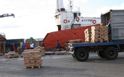 Dinara actualizó certificados de exportación.