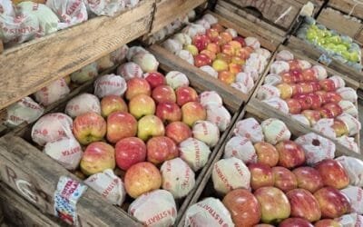 Productos de granja importados inciden en el mercado.