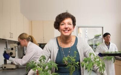 Tendencia. En 20 años los productos agrícolas biológicos igualarían a los químicos.