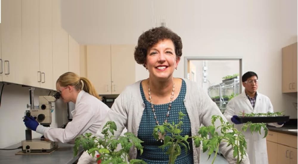 Tendencia. En 20 años los productos agrícolas biológicos igualarían a los químicos.