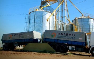 Elección de un concentrado proteico: ¿es el costo por tonelada el dato más importante?