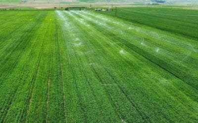 UTE. Descuentos para regantes y productores vitivinícolas.