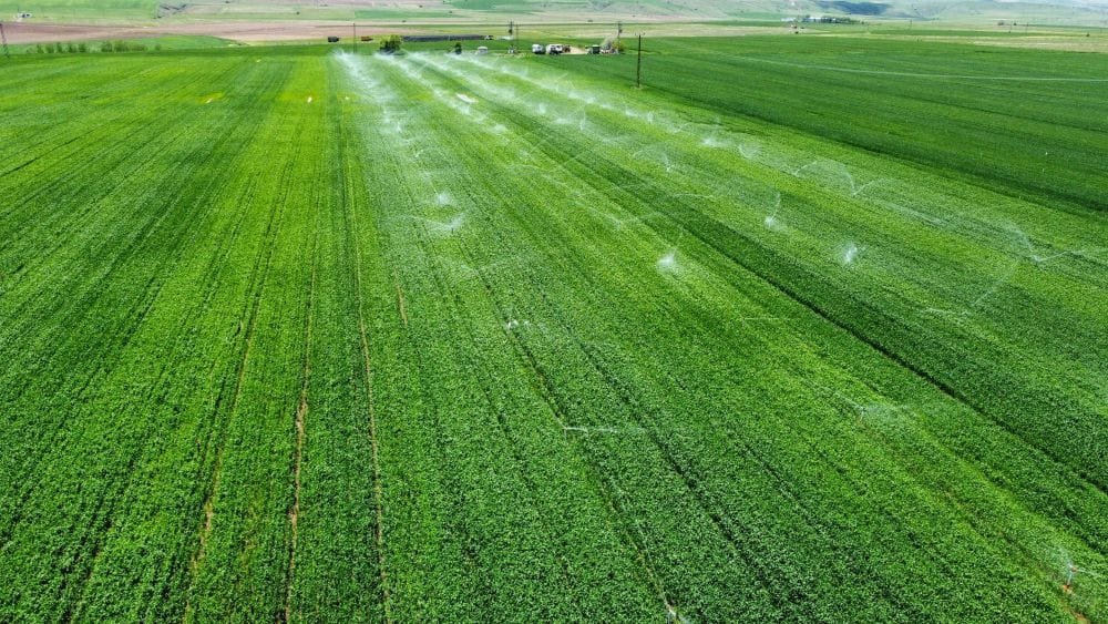 UTE. Descuentos para regantes y productores vitivinícolas.