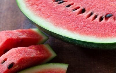 Los alimentos ricos en agua para mantener una alimentación saludable.