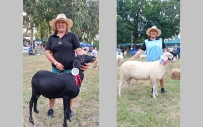 Las razas que brillaron en el Encuentro del Ovino y la Granja.