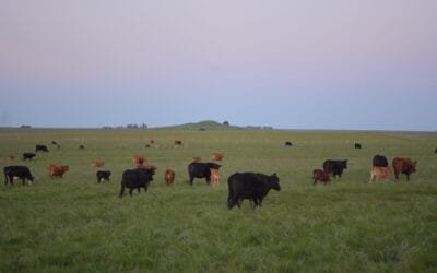 Brecha en rentabilidad: los que miden y mejoran sus resultados, superan al promedio de productores.