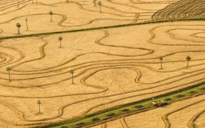 En el Día de los Humedales, distinción a buenas prácticas para el arroz.