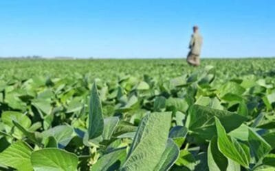 Puesta a punto de los cultivos de verano.