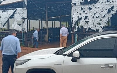 La Federación Rural expresó “profunda solidaridad con los productores rurales y familias afectadas por la intensa tormenta”.