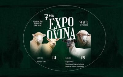 En febrero será la Expo San José.