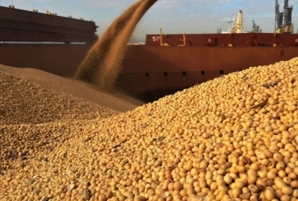 En enero, Brasil fue el principal origen de los embarques de granos a China.