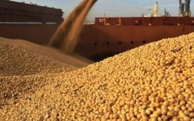 En enero, Brasil fue el principal origen de los embarques de granos a China.