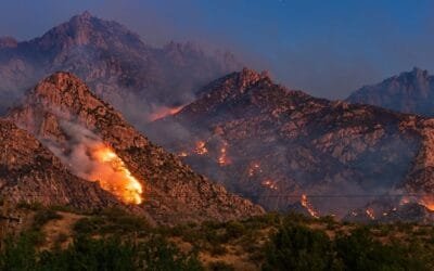 Hoy hay menos incendios forestales que en el pasado.