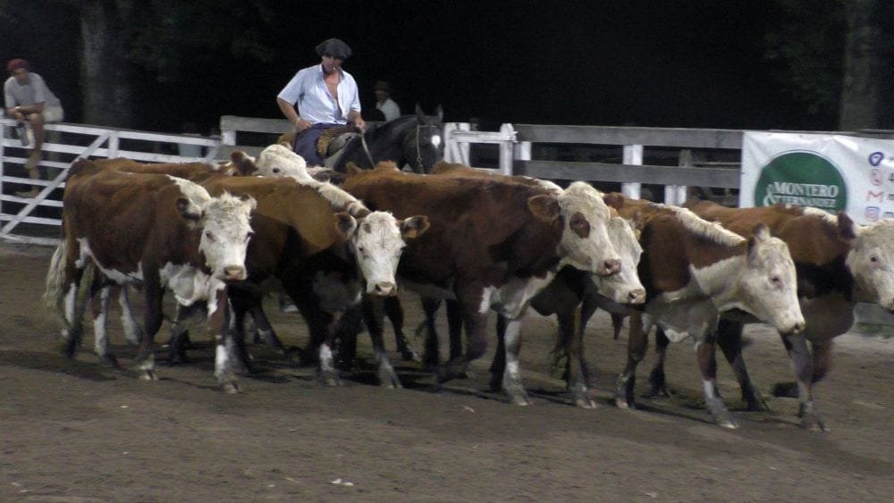 Montero & Fernández mostró un mercado dinámico y al alza para prácticamente toda la oferta.