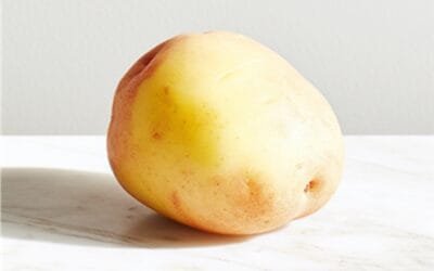 Empresa israelí producirá proteínas lácteas sin vacas.