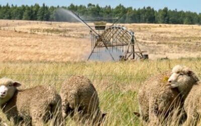 El 13/02 INIA y SUL invita a la jornada anual de riego en pasturas.